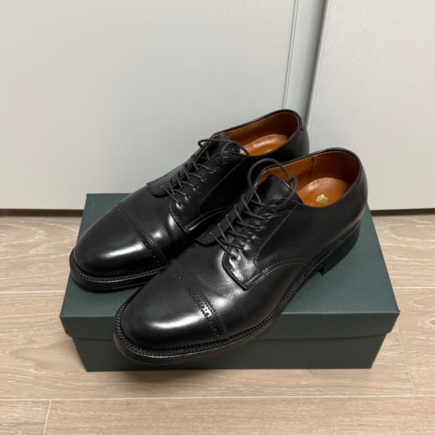 알든 a6503 카프 더비