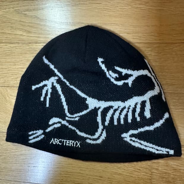 아크테릭스 비니