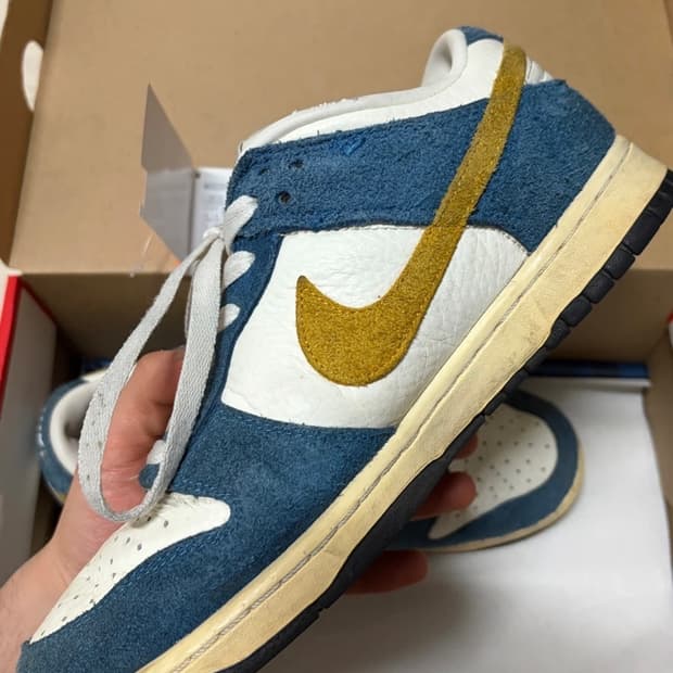 나이키 카시나 덩크 260