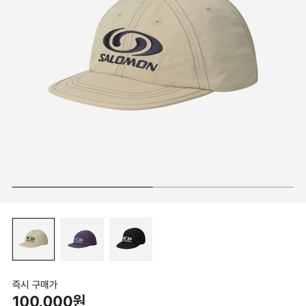 살로몬 모자