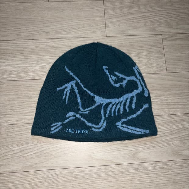 아크테릭스 버드 헤드 토크 나이트스케이프 글레이셔