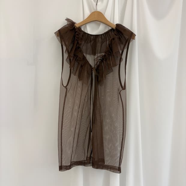 Brown Sheer Mesh Ruffle Tie Top