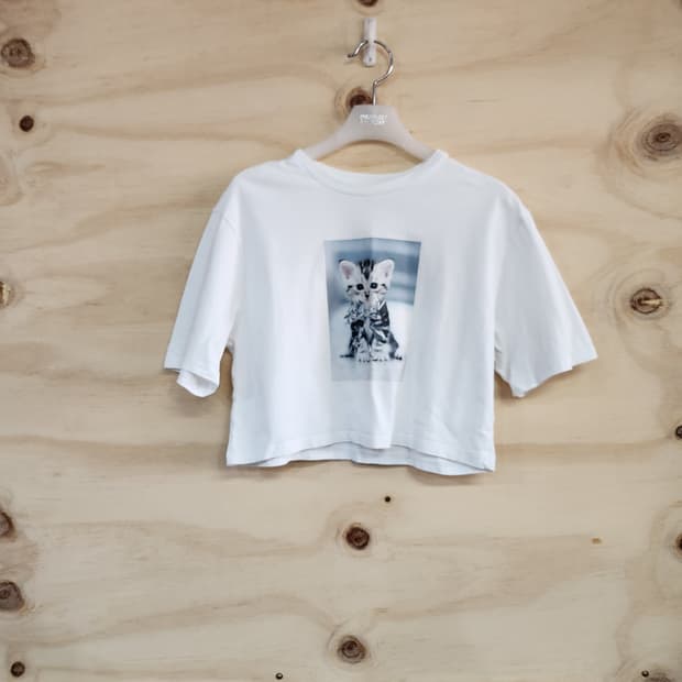 1212) MSGM 키즈 고양이프린팅 크롭 반팔티