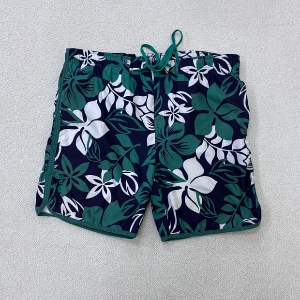 100 아레나 남성 수영복 반바지 0312E