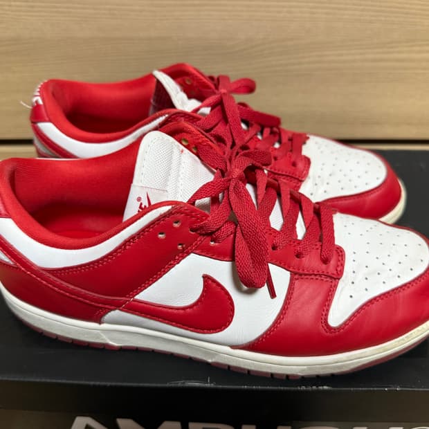 나이키 덩크 유니버시티 레드 2020 버전 290