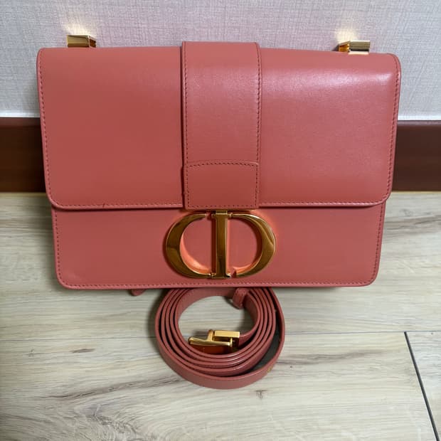 디올 몽테인 30 숄더백