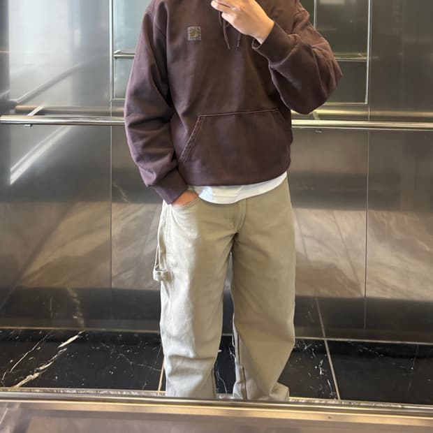 칼하트 윕 비스타 후드 팰러샌더 가먼트 다이드