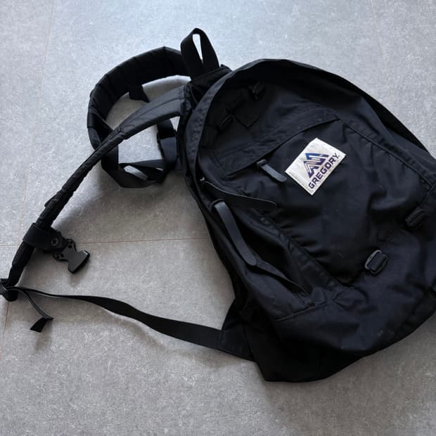 그레고리 빔즈 보이 나이스 데이 뉴 백팩 블랙