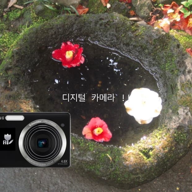 작례!! 삼성 VLUU ST550 디지털카메라 디카