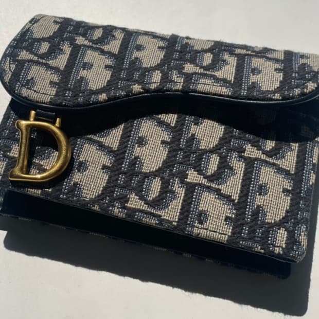 디올 오블리크 새들 카드지갑