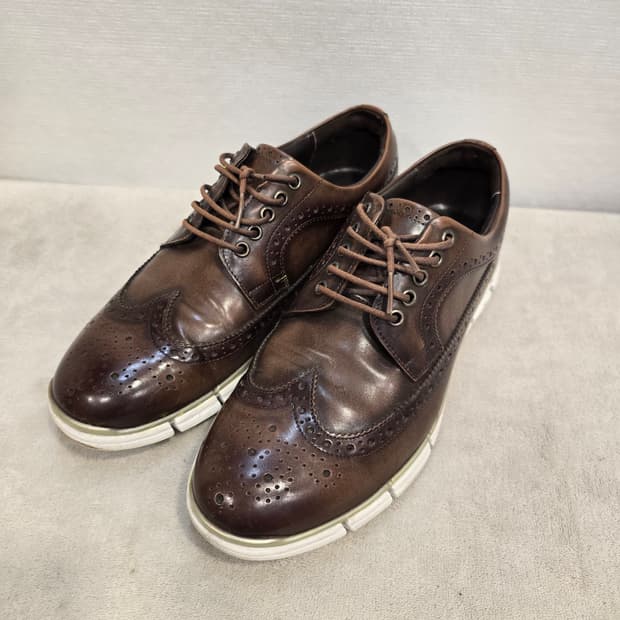 탠디 남성 브라운 윙팁 구두 265mm