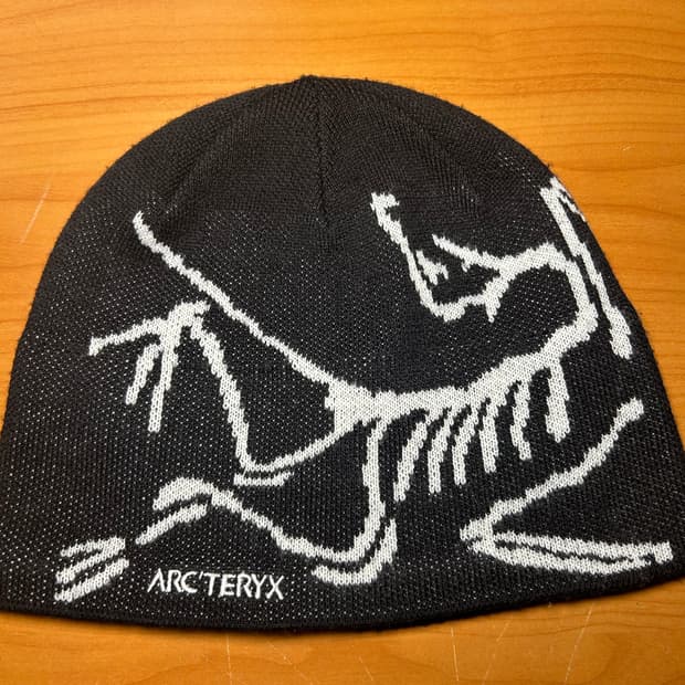 아크테릭스 버드 헤드 토크 오르카 비니