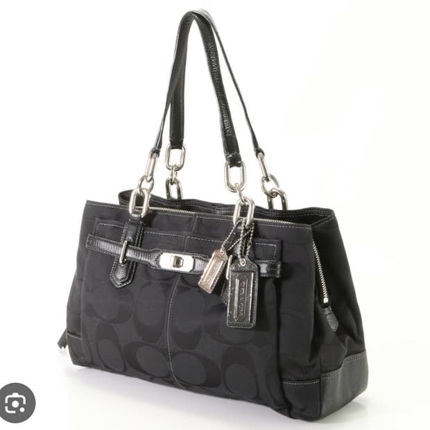 Coach 코치 시그니처 핸드백