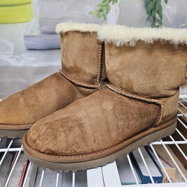 어그 부츠 여성방한부츠 230 체스트넛 양가죽 숏부츠 LB75