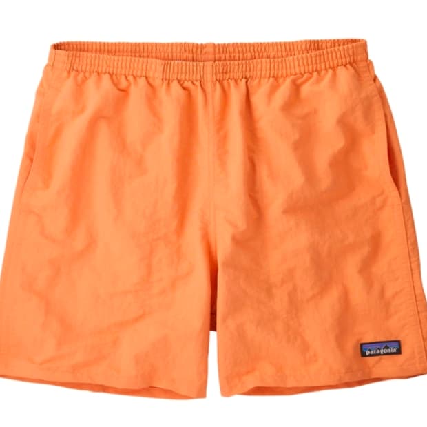 파타고니아 배기스 쇼츠 5인치 헤어룸 피치 팝니다.