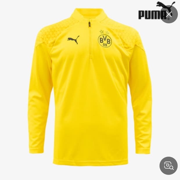 도르트문트 반집업