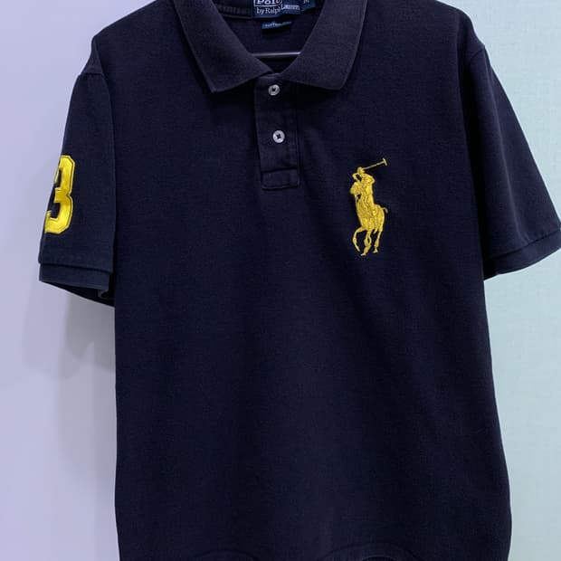 폴로 골드빅포니
