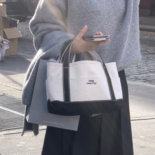 헤이그 스탠다드백 스몰 새제품