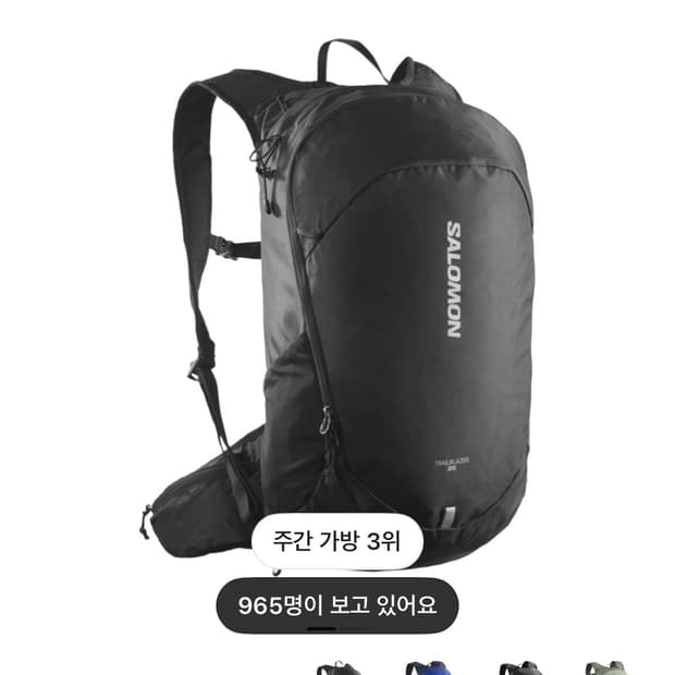 살로몬 트레일블레이저 20 블랙