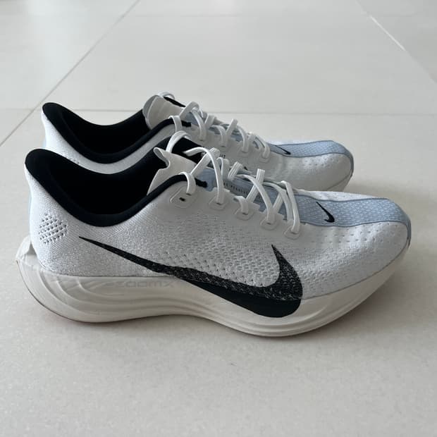 나이키 페가수스 플러스 런닝화 (255)