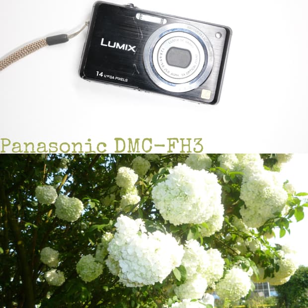 Panasonic DMC-FH3
