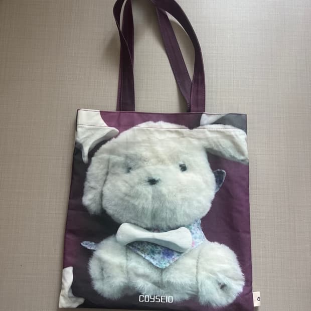 코이세이오 오후 가방