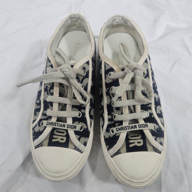 크리스찬디올235