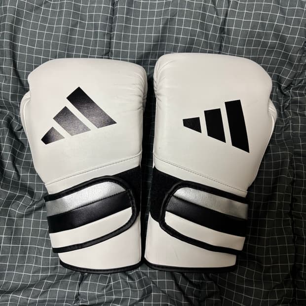  아디스피드 501 복싱 글러브 16온스