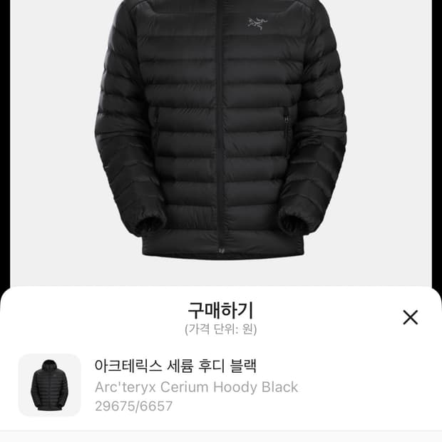 아크테릭스 세륨 경량패딩 자켓