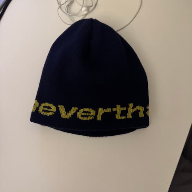 디스이즈네버댓 비니