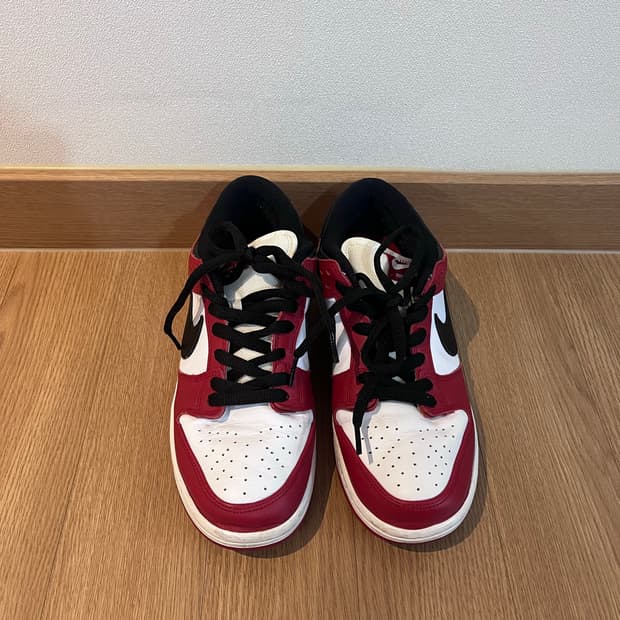 나이키 SB 덩크 시카고 260