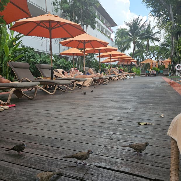 Martin dog 님 개인결제창