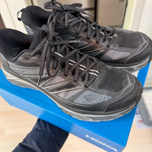 hoka mafate speed 2 290