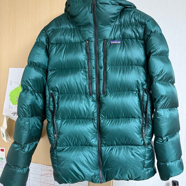 파타고니아 피츠로이 다운 그린 팝니다