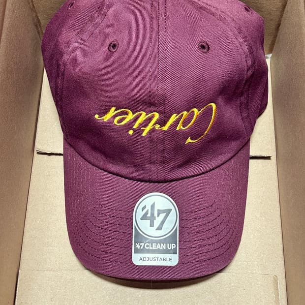 까르자주 로에그레이 셀린남색 결제창