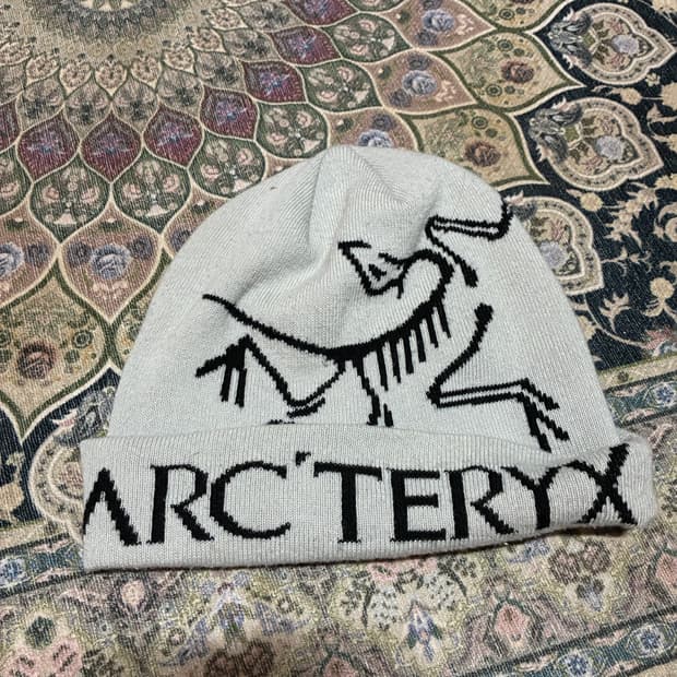 아크테릭스 비니