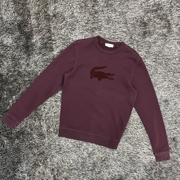 라코스테 여성 기모 맨투맨 (US XS)