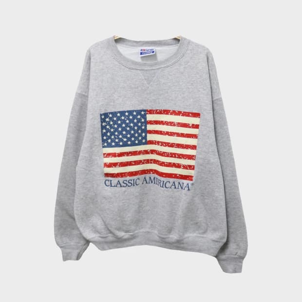 90'S 헤인즈 크랙 프린팅 맨투맨 61691