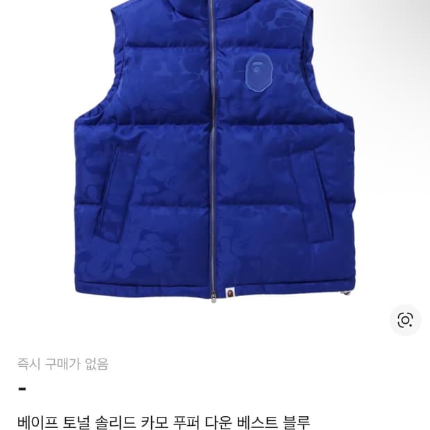 베이프 토널 솔리드 카모 푸퍼 다운 베스트