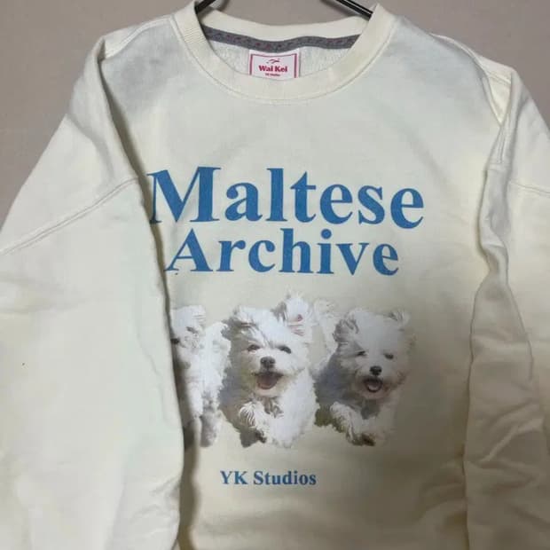 말티즈아카이브 맨투맨