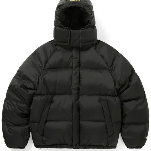 [L] 디네댓 x 고어텍스 윈드스토퍼 푸퍼 패딩 25FW