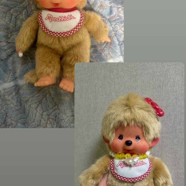 골드 몬치치 양갈래,남아 몬치치 (일괄판매)