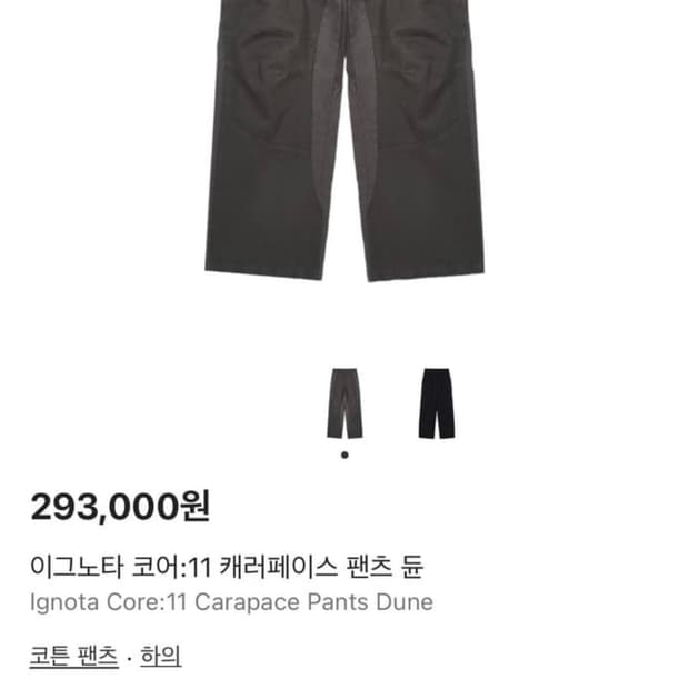 이그노타 코어11 캐러페이스 듄 구매합니다