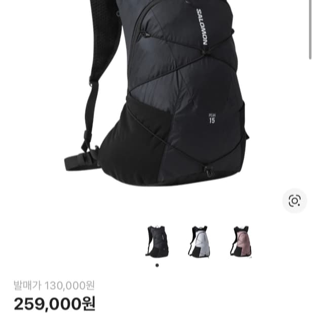 살로몬 피크 15 백팩