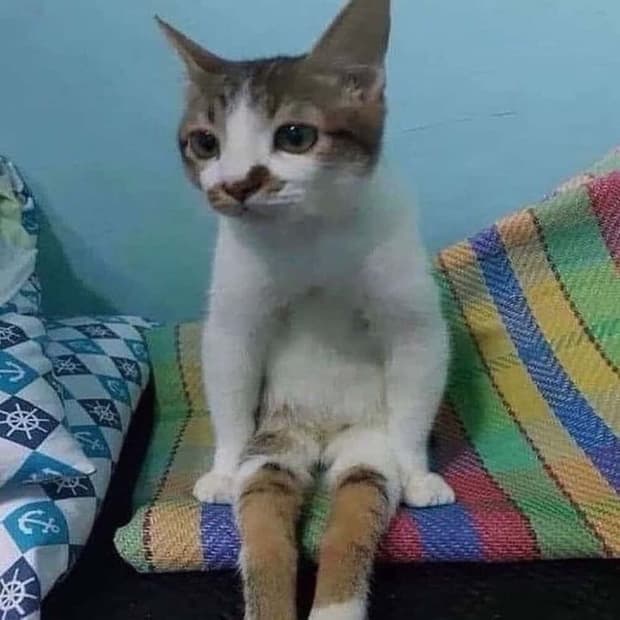 ㅅㄱ님 개인결제창