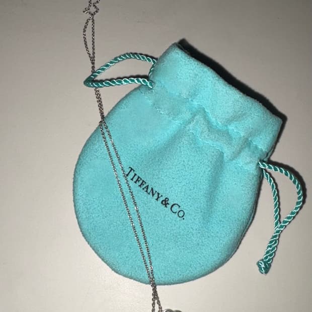 티파니 목걸이 리턴투티파니 실버