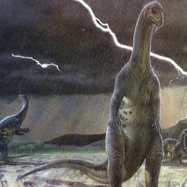 사진주의)일본 귀신 공포게임 스웨터 니트