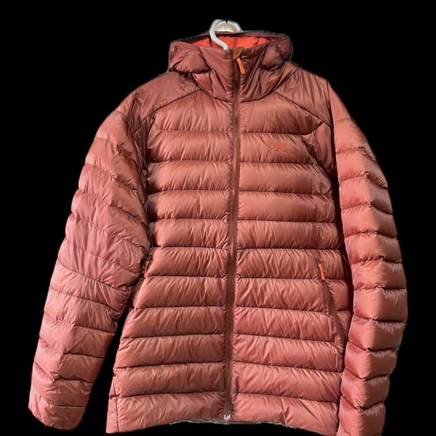 아크테릭스 세륨 L [색상:세콰이아 솔라리스]