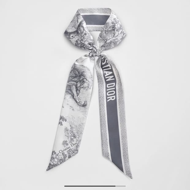 디올 트윌리 뜨왈 드 주이 소바쥬 그레이