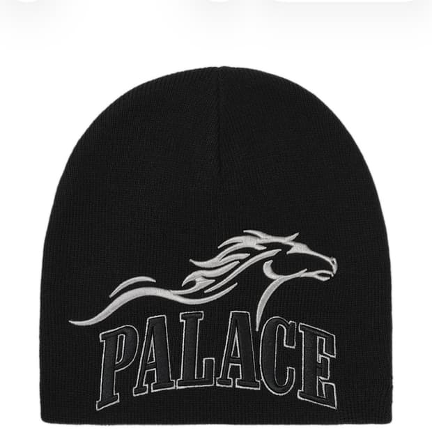 Palace horsepower 비니 구매합니다!